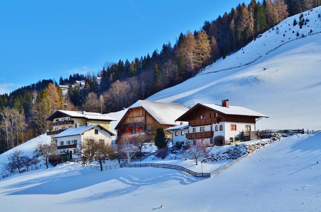 Spreitzhof - Appartements ชลัดมิง ภายนอก รูปภาพ