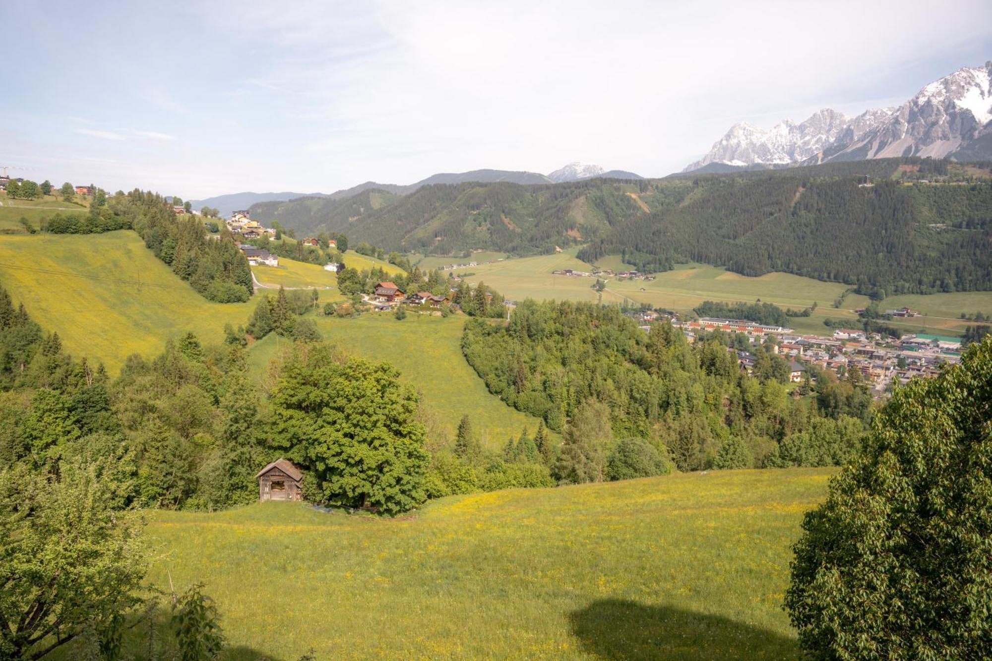 Spreitzhof - Appartements ชลัดมิง ภายนอก รูปภาพ