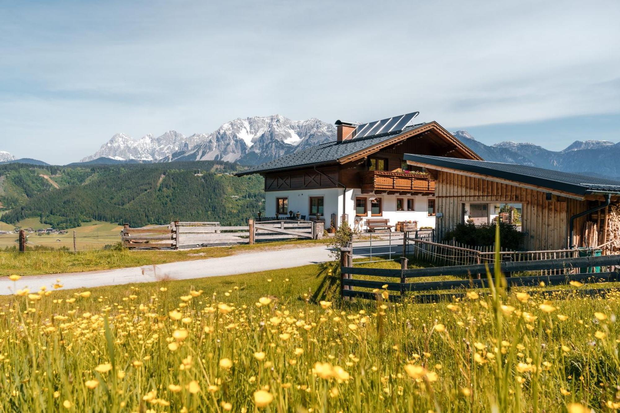 Spreitzhof - Appartements ชลัดมิง ภายนอก รูปภาพ