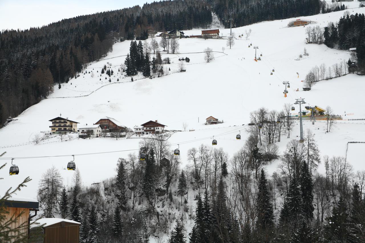 Spreitzhof - Appartements ชลัดมิง ภายนอก รูปภาพ