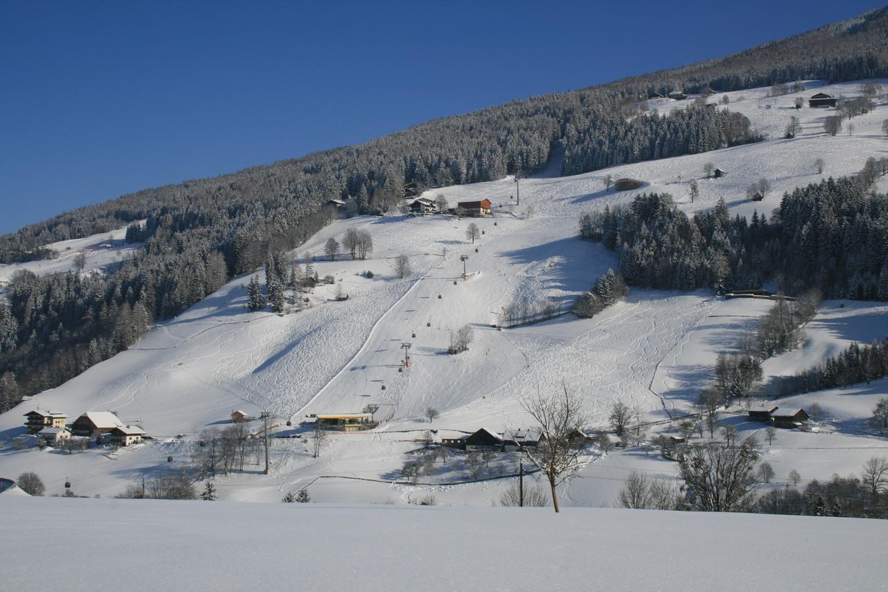 Spreitzhof - Appartements ชลัดมิง ภายนอก รูปภาพ